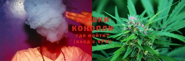 стаф Елизово
