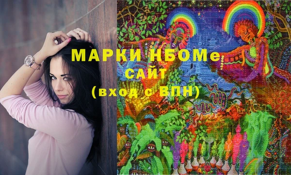 стаф Елизово