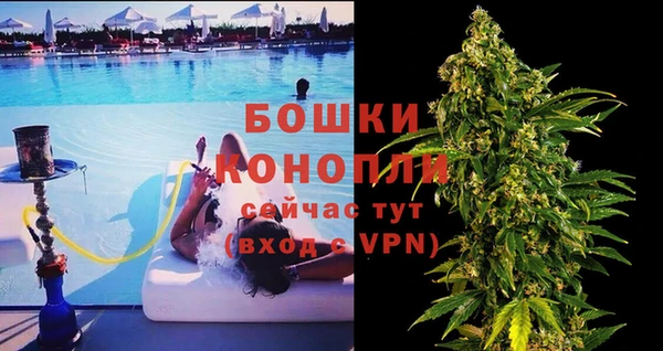 стаф Елизово