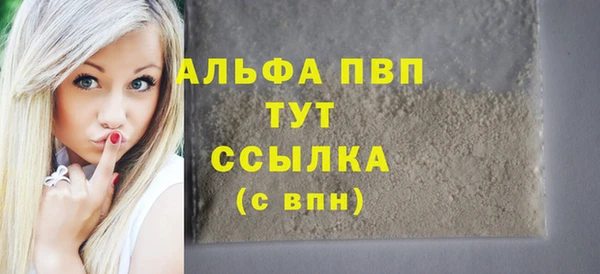 стаф Елизово
