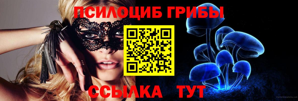 Галлюциногенные грибы Magic Shrooms  Вход с VPN  Ивантеевка  Псилоцибиновые грибы GOLDEN TEACHER 